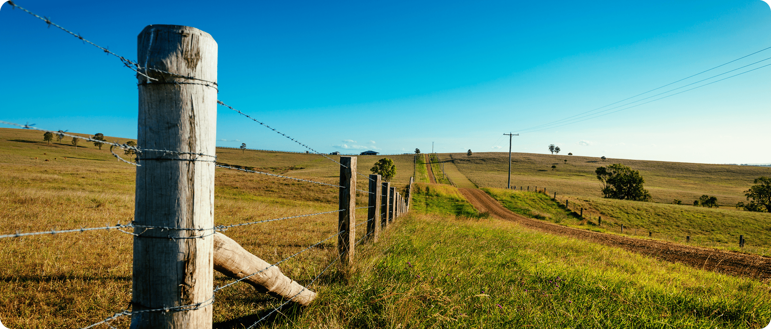 Countryside landscape with fence and dirt road.