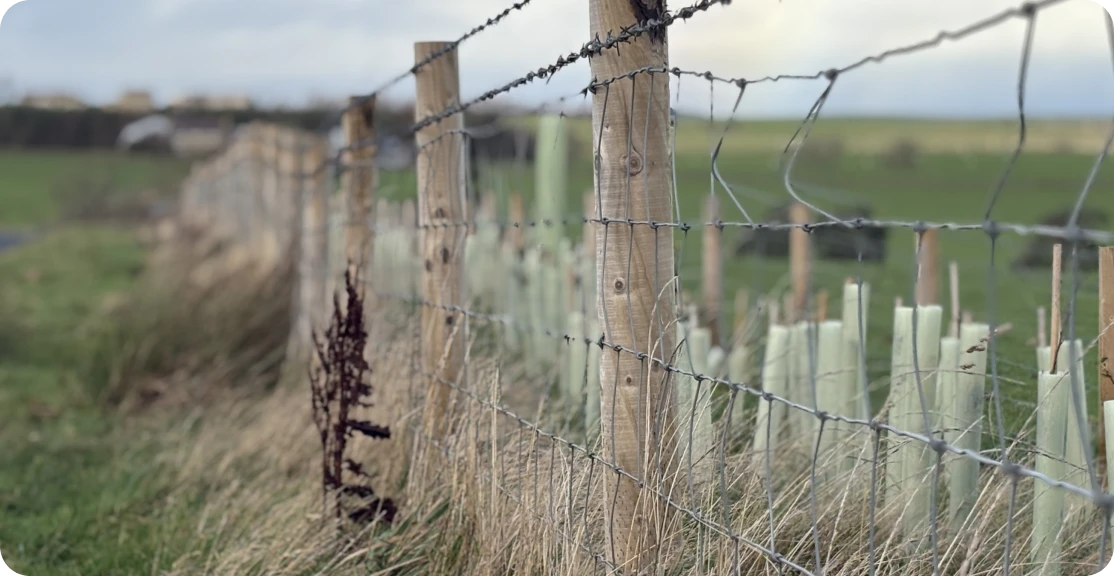 Close-up of wooden fence posts